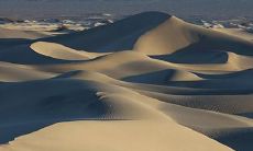 梓萱名字的来历是什么 怎么取名新颖好听