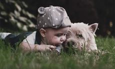 属狗的取名用什么字比较好 宜用字推荐