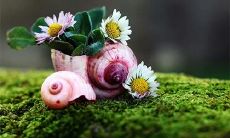 博文名字的含义是什么 怎么取名文雅好听