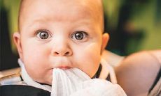 属猪宝宝起名宜用字 有什么好名字推荐