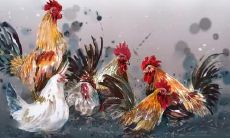 属鸡2021.8.31运势 过于佛系要积极主动