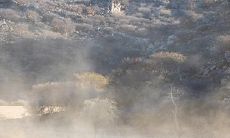 属羊的起什么名字最好 有什么宜用字推荐