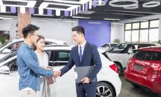 属马的名字适合用的字推荐 取什么名好