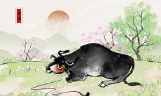 一路顺风走指什么生肖 2021年九月属蛇人运势