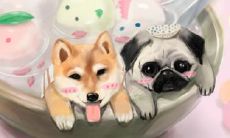 2022年属龙大忌 避讳属狗、羊的人