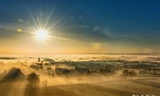 虎年六月份运气如何 属虎人进入六月份运势如何