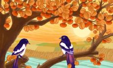 壬寅年财库丰收的生肖 财运最好的人有你吗