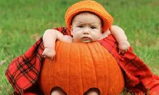 五月牛宝宝小名推荐 取小名有什么技巧