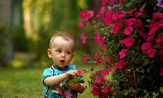 四月鼠宝宝名字推荐 四月属鼠怎么取名