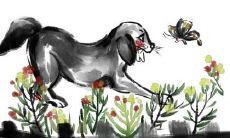 为什么都说属狗的命不好 属狗几岁运势最差