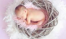 一月鼠起名有什么推荐 鼠宝宝起名宜用字