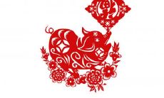 五光十色的意思打一生肖 关于鸡的谜语解析