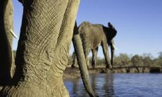 姓名五行分析 怎么知道自己五行缺什么