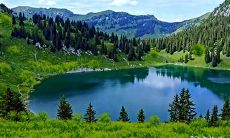 93年7月份的鸡是什么命 属鸡人的婚姻美不美满