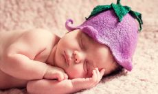 为啥大家都要生鼠宝宝 鼠宝什么时辰生财运滚滚