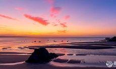 牛宝宝农历九月哪天出生最好 农历九月出生牛宝宝好吗