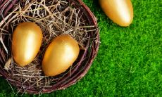 2022年鸡犯太岁吗 属鸡人2022年运势如何