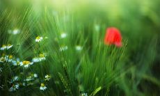 医生和护士在五行属什么 属金适合做什么