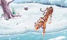 生肖老虎排行第几 生肖虎的性格特点