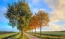 一九八九年农历二月二女命 农历二月出生的人命运