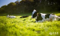 属牛2023.3.3运势 与人为善