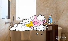 属猪2023.2.16运势 第六感挺灵的