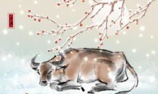 属牛2023.3.17运势 有口难言