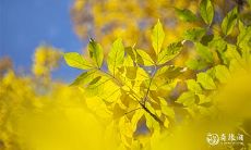 2023年兔年4月15日、16日买车吉利吗