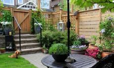 属狗的2022犯太岁吗 要如何化解太岁