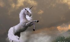 为什么说属马的人命不好 冬季出生的属马人命好