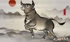 属牛6月份出生的命运怎么样 6月牛如何转运