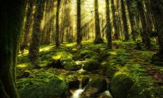 五行缺金就是没钱吗 五行缺金要怎么补