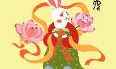 属兔为什么不能挂葫芦 挂哪些风水物件好