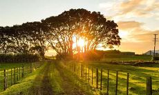 五行缺金木会怎样 缺金缺木要怎么补足