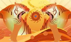 2022年属蛇犯太岁动土了怎么办 需要注意什么