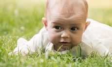 2022年属蛇犯太岁生孩子会冲喜吗 生孩子好吗