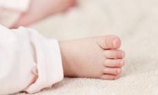 2022年属猪破太岁生孩子化解 属猪人生虎宝宝如何