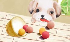 属狗为什么不能住16楼 属狗人楼层讲究