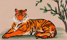 2022年二婚遇到真爱的生肖女 注定二婚的生肖女