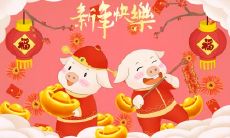 属猪能带猪的饰品吗 属猪适合佩戴什么