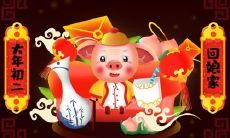 属猪为什么不能戴蜜蜡 五行相克不适合