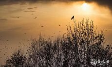 三月份黄道吉日有几天 择吉步骤