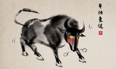 属鼠的什么性格 生肖鼠性格解析