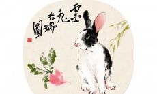 属兔的什么颜色最吉利 青色黄色蓝色最好