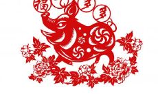 2022年属猪破太岁是什么意思属猪 运势解析