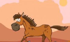 属龙的什么颜色最旺最吉利 黄色青色棕色