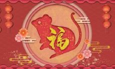 1996年属鼠幸运色是什么 忌讳什么颜色