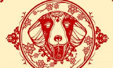 属虎用什么微信头像好 属虎怎样选择头像