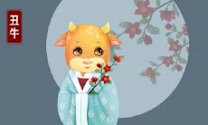 适合留头发的属相女 长发短发都好看