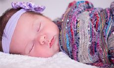 属虎宝宝旺属羊父母吗 虎宝宝旺哪些生肖父母